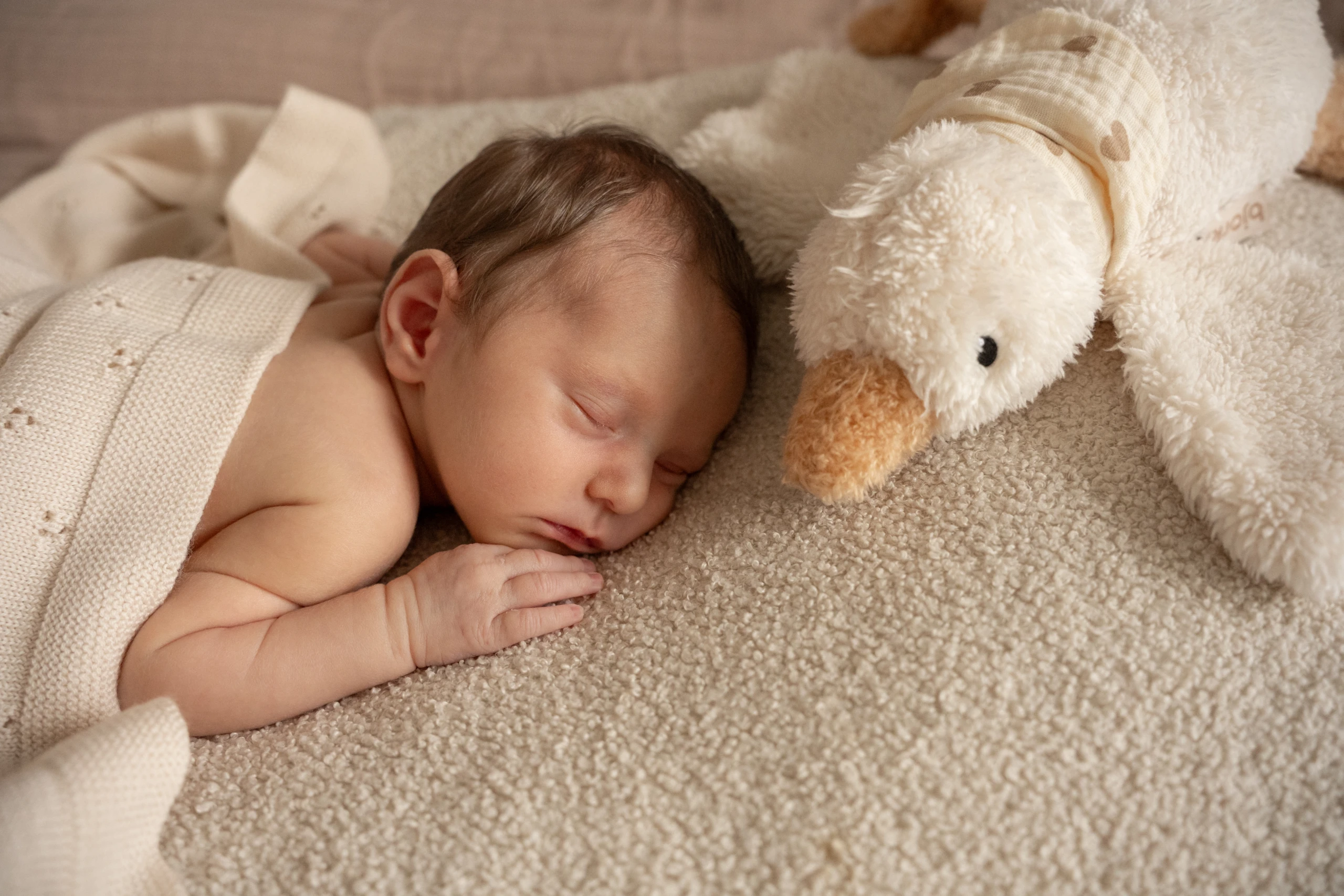 Schlafendes Neugeborenes liegt unter einer hellen Decke neben einem weichen Kuscheltier.